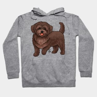 Dog - Maltipoo - Brown Hoodie